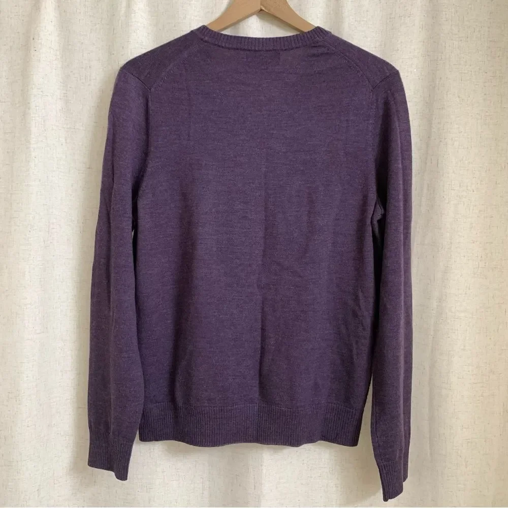 Banana Republic Men’s 100% Extra Fine Merino Wool V-Neck Sweater Medium